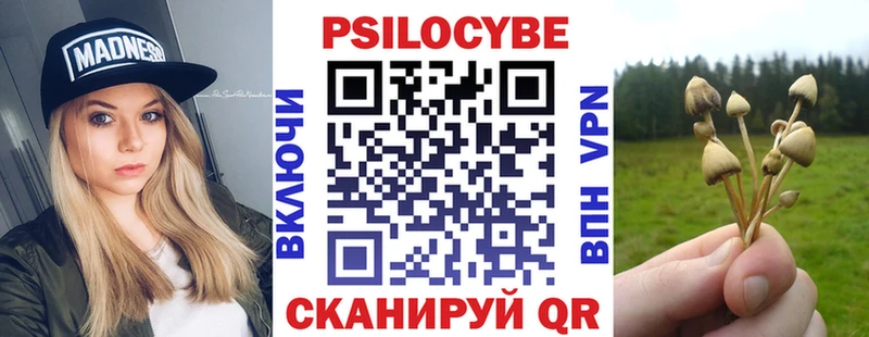 Купить где  Бийск  Галлюциногенные грибы GOLDEN TEACHER 